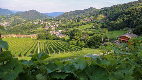 World Wine Passion — 28. August 2026